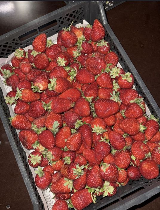 Клубника в шоколаде