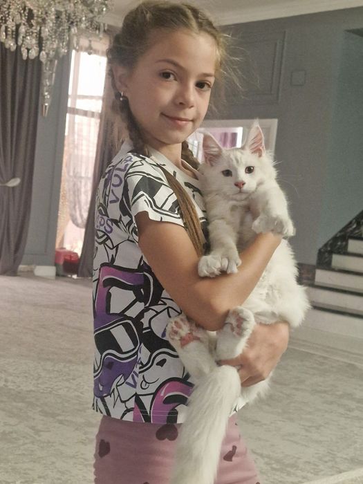 Мальчик мейн кун полидакт