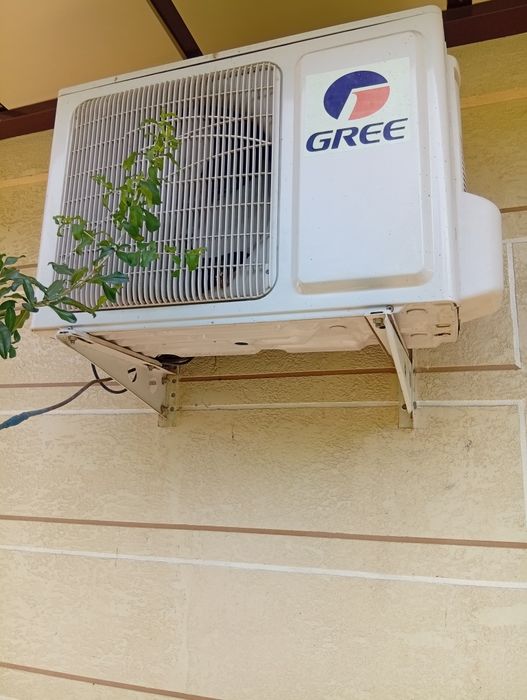 Kansaner GREE 2 ta