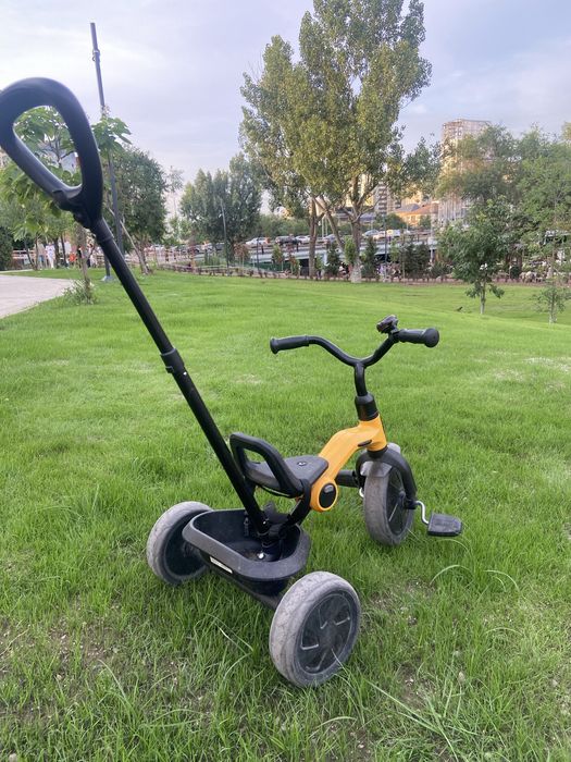 Трехколесный велосипед Qplay ANT