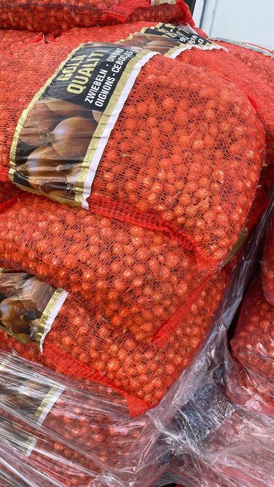 Vand arpagic olandez