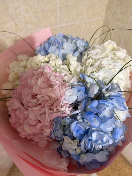 Цветы 10 000 тг продается