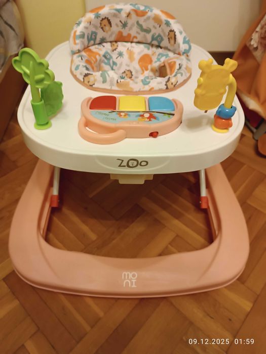 Проходилка (паяк)