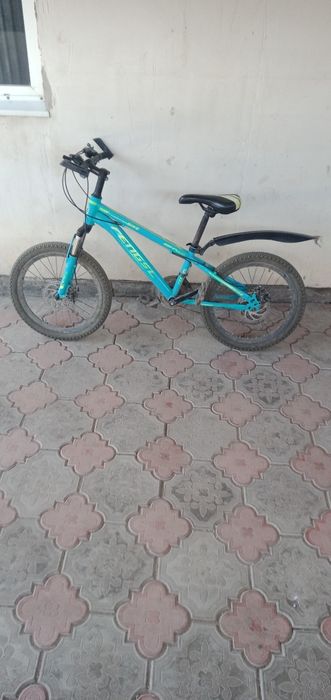 Велик сатамын көп айдалған жоқ