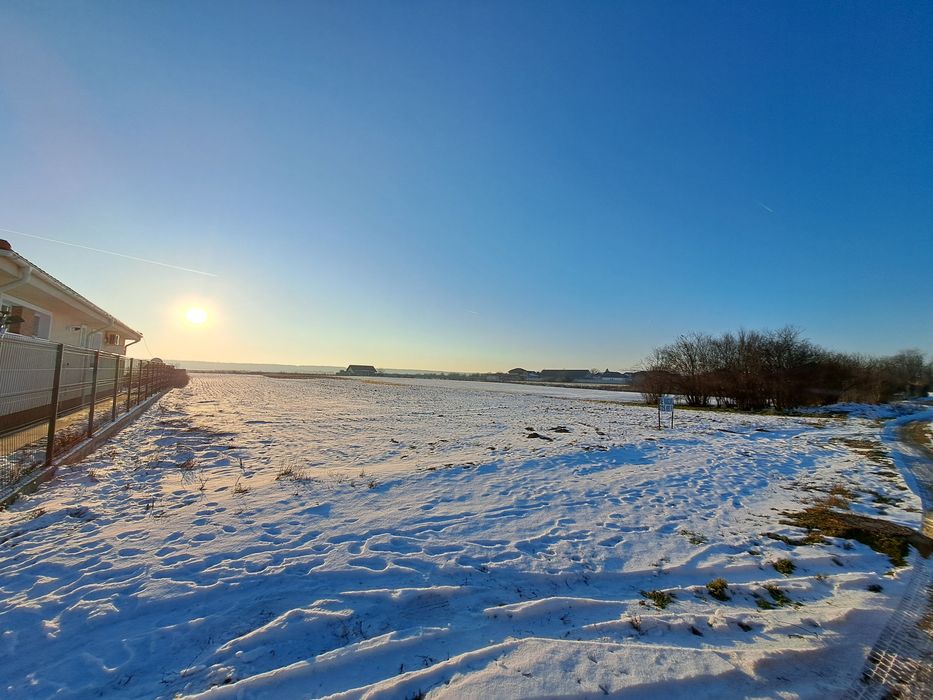 Vând teren în Buftea- Flamanzeni 2400mp sau 4800mp