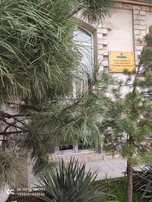 Хостел Hostel Гостиница Мехмонхона Mehmonhona Квартира Посуточно Ижара