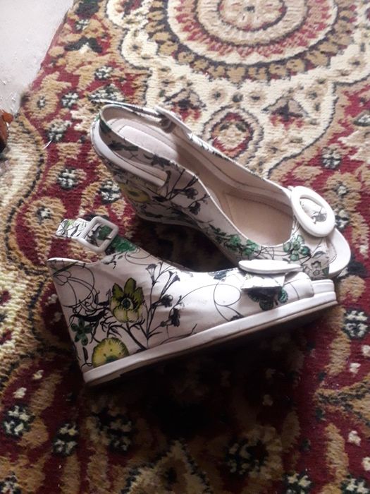 Басаножка товони баланд