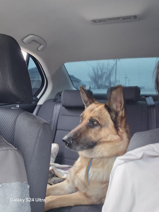 За хорошее вознаграждение