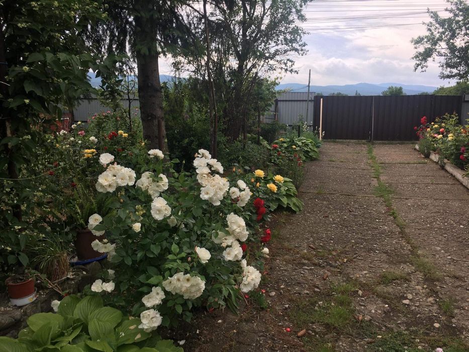 Casa de vanzare Vrancea