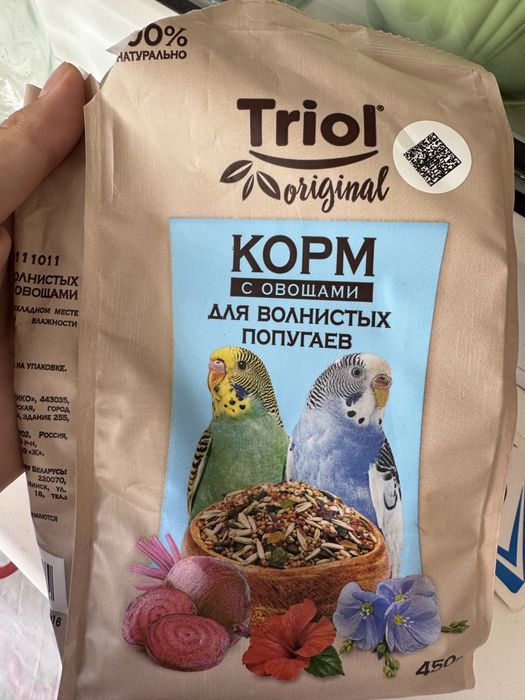 пара попугаев.