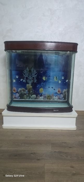 Продам аквариум большой