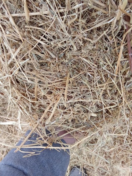 Vând baloți de fan