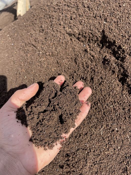 Biogumus arzon narxda