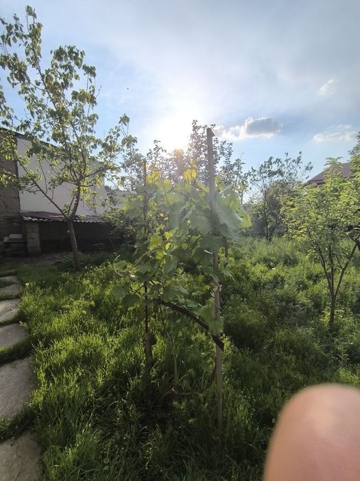 Продам Дом 2ком 6,5 соток. Чартак Сергели. Янгихаетском районе