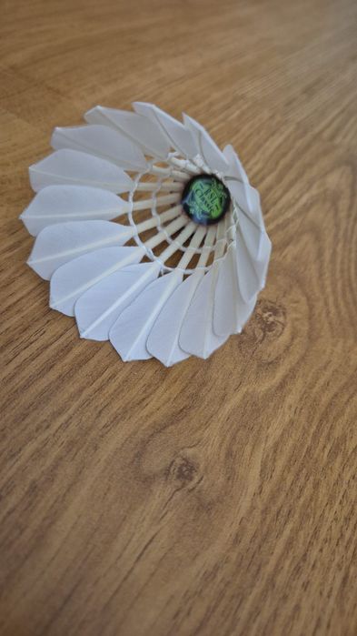 Fluturasi Badminton RSL