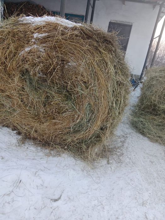 Продам сено 2 рулона