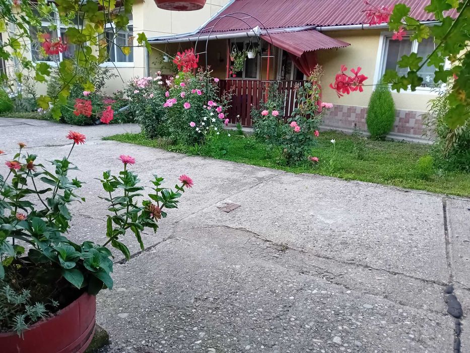 Casa de vanzare in Vetel