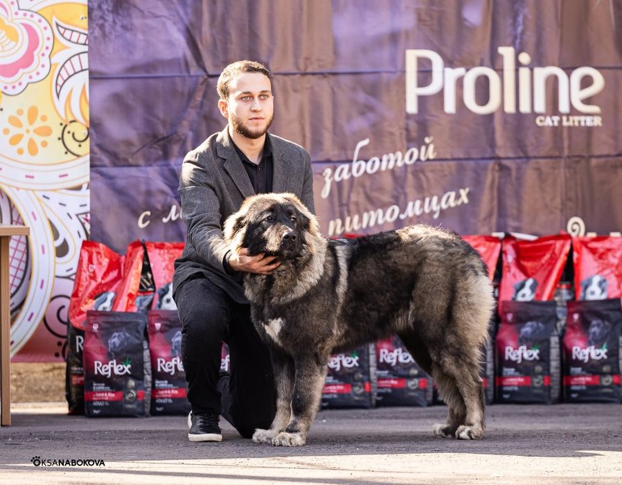 Инструктор дрессировщик