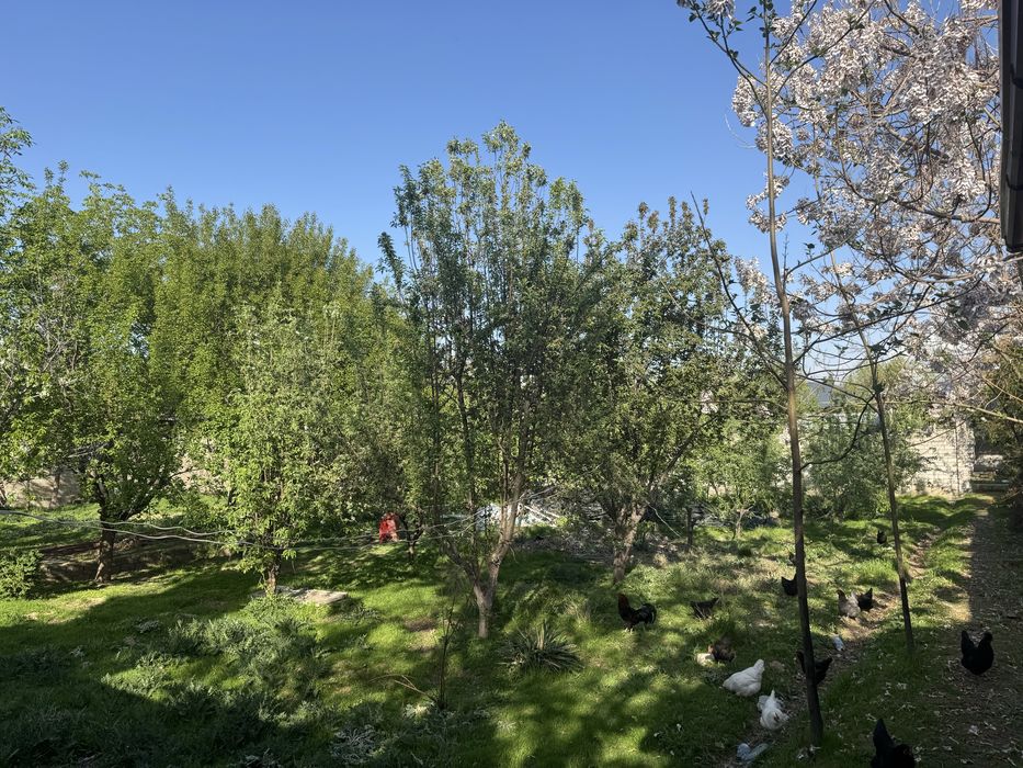 Nazarbek turkiston hovli yer sotiladi