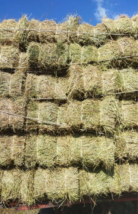 Доставка сена сена