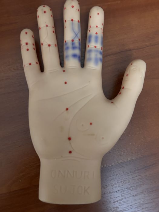 Муляж руки для иглоукалыванию