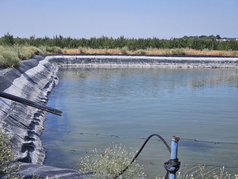 Продаётся яблоневый сад!