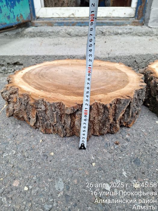 Продам слебы и спилы