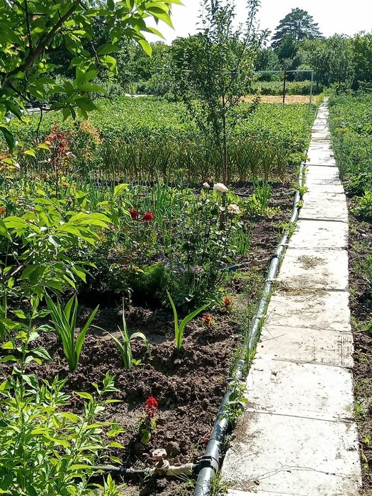 Продам дачу (6,6 соток)