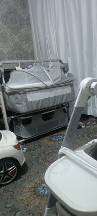 Kravat detskiy, lulka