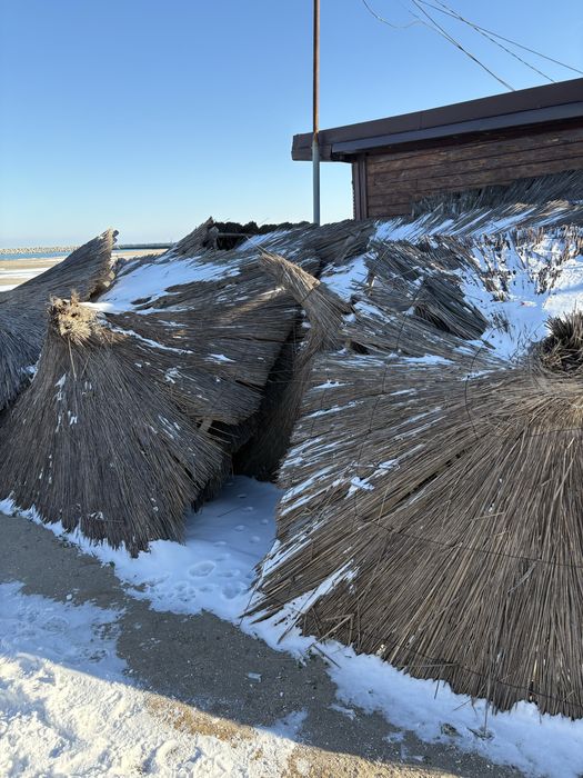 Sezlonguri si umbrele