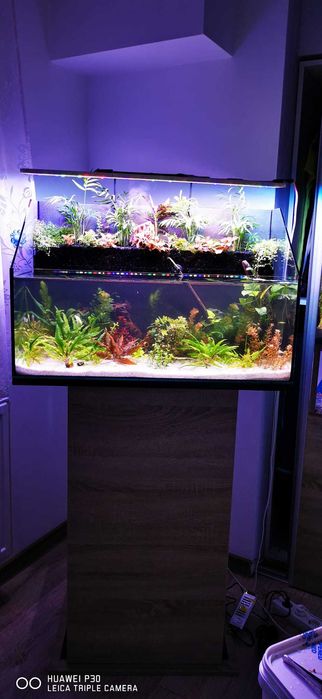 Lampa pentru acvarii plantate