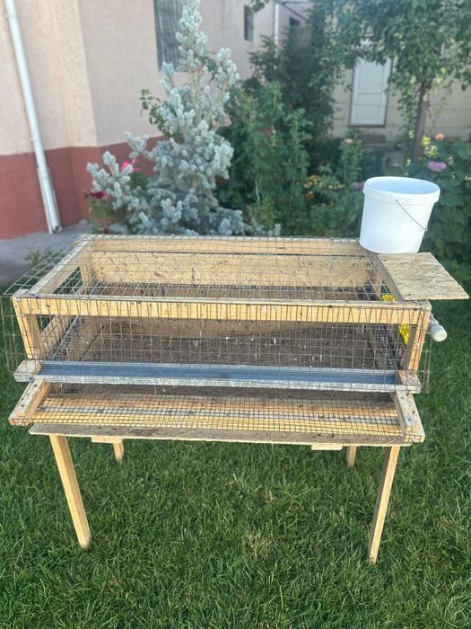 Бөдене Перепёлка