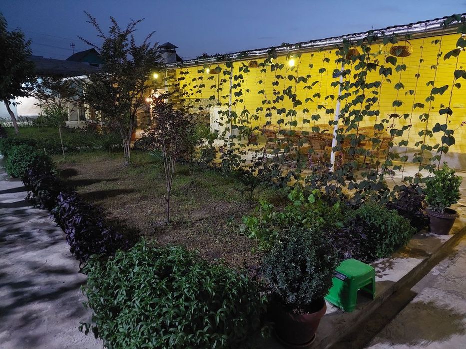 Samarqandda Dacha