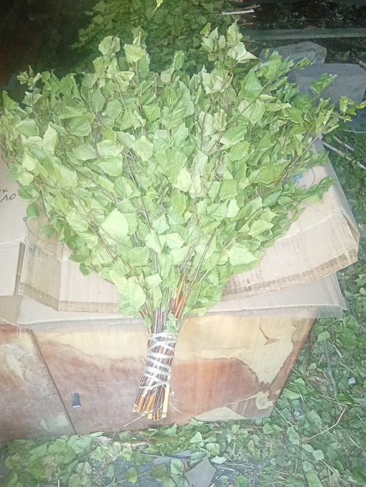 Веники для бани  и сауны