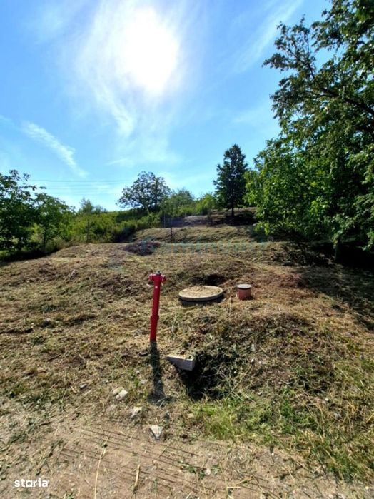 Teren de vanzare cu priveliste, Doja, 810 mp, Oradea, Gaminvest,V1189A