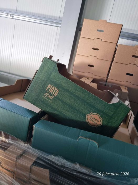 Lada lazi carton Piata lidl 60x40 40x30
