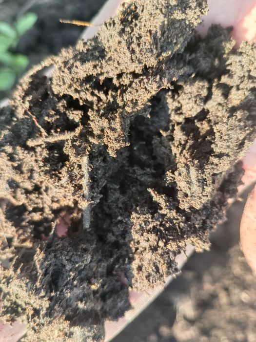 Продаю перегной в мешках