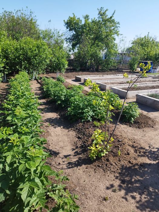 Продам ухоженую дачу на Федоровке