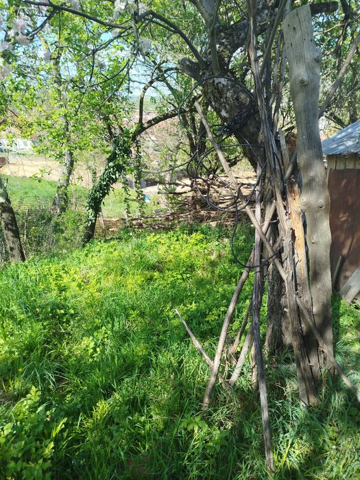 Casă de vânzare in Săliște