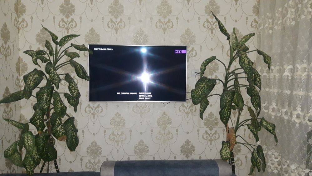 Домашние красивый цветы