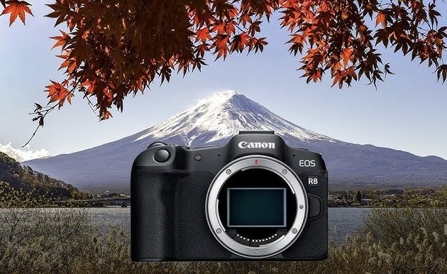 НОВО!!! Безогледален фотоапарат Canon - EOS R8, 24.2MPx, Black + Батерия LP-E17