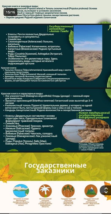 《Презентация》canva, PowerPoint а также word варианты