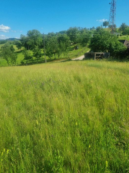 Vand teren intraviland 4820 mp Luncoiu de Jos