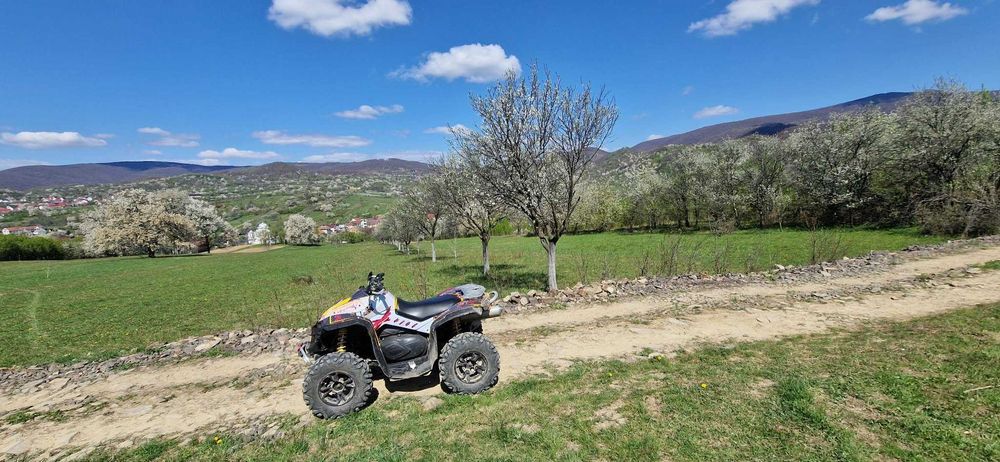 Can am renegade 800