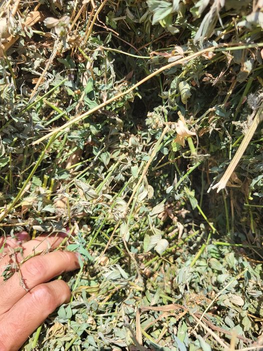 Baloti ciocani  lucerna  si paie 150/120