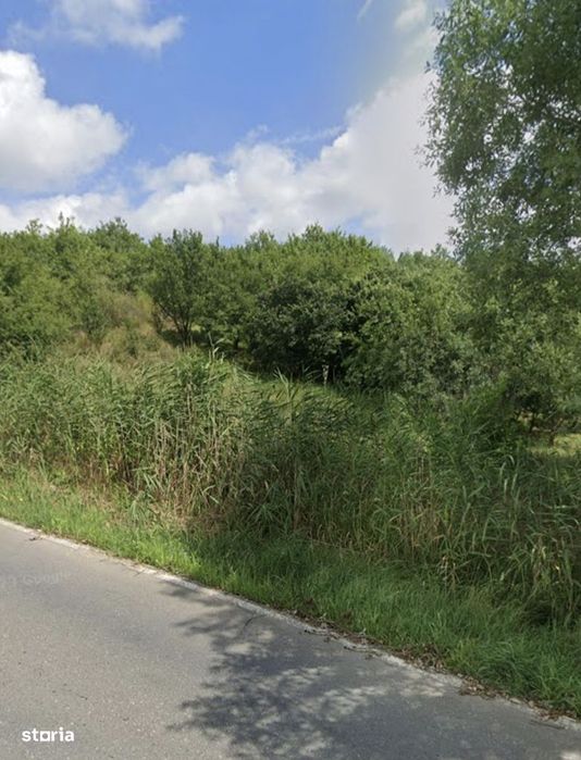 Teren cu acces direct din strada Dealul Fanatelor