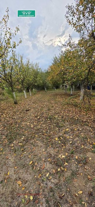 Продава се Къща в Роман - 120 кв.м за 309 €/кв.м - Снимка #6