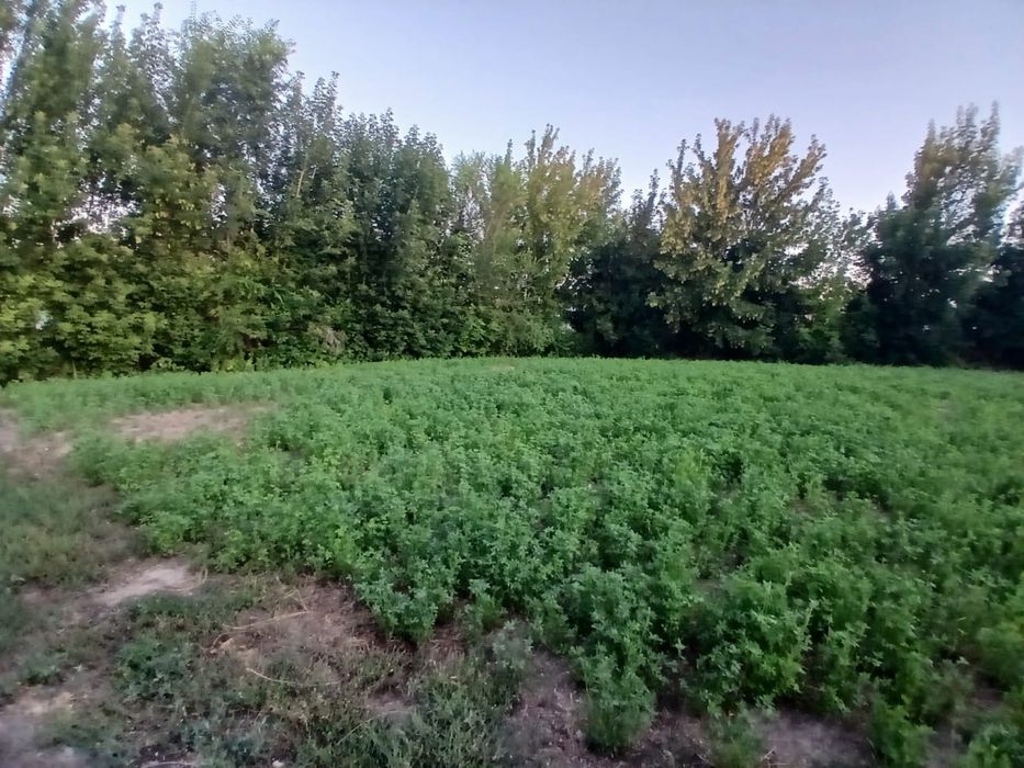 Үй сатылады хабарласыңыздар