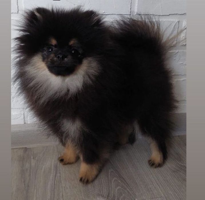 Ищем подружку для вязки.