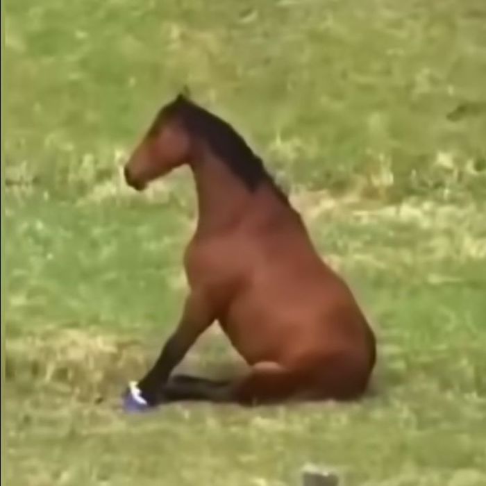 Значки ееееееееё